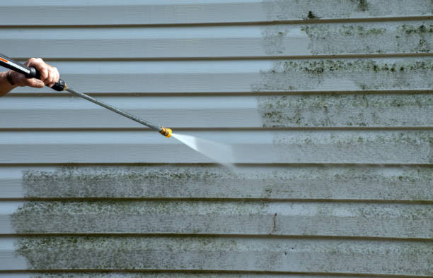 Best Residential Pressure Washing Services  in Nappanee, IN